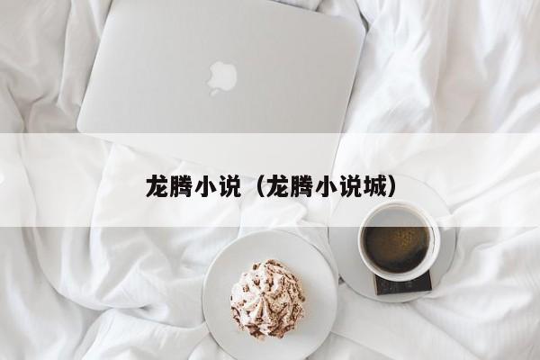 龙腾小说（龙腾小说城）