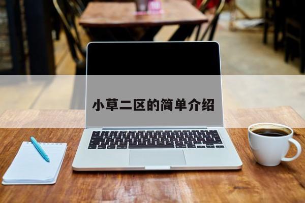 小草二区的简单介绍