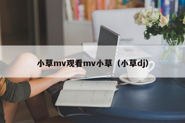 小草mv观看mv小草（小草dj）