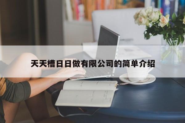 天天槽日日做有限公司的简单介绍