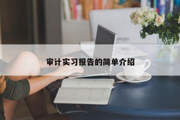 审计实习报告的简单介绍