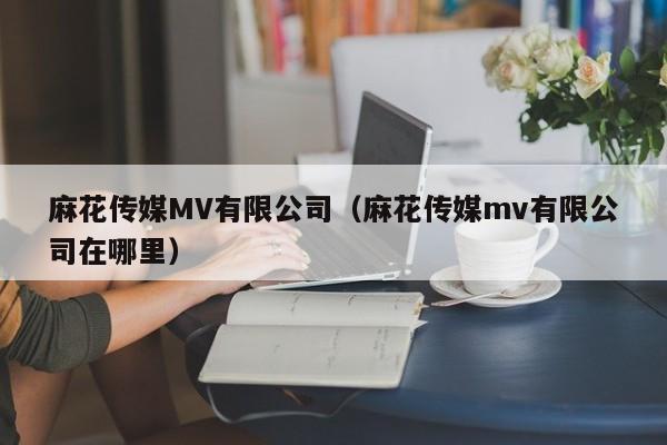 麻花传媒MV有限公司（麻花传媒mv有限公司在哪里）
